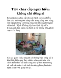 Tiêu chảy cấp nguy hiểm không chỉ riêng ai