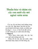 Thuần hóa và chăm sóc cây con nuôi cấy mô ngòai vườn ươm  Cây lan cấy mô