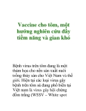 Vaccine cho tôm, một hướng nghiên cứu đầy tiềm năng và gian khó  Bệnh virus trên