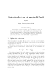 Spin của electron và nguyên lý Pauli 