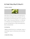 Kỹ Thuật Trồng Giống Ổi Trắng Số 1