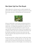 Bảo Quản Ngô Sau Thu Hoạch