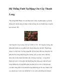 Hệ Thống Tưới Tự Động Cho Cây Thanh Long
