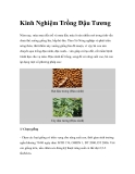 Kinh Nghiệm Trồng Đậu Tương