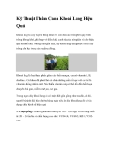 Kỹ Thuật Thâm Canh Khoai Lang Hiệu Quả