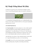 Kỹ Thuật Trồng Khoai Mì (Sắn)
