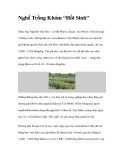 Nghề Trồng Khóm “Hồi Sinh”