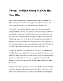 Phòng Trừ Bệnh Sương Mai Giả Hại Dưa Hấu