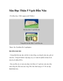 Sâu Đục Thân 5 Vạch Đầu Nâu