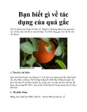 Bạn biết gì về tác dụng của quả gấc