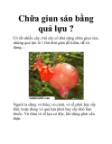 Chữa giun sán bằng quả lựu ?