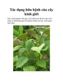 Tác dụng hữa bệnh của cây kinh giới