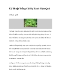 Kỹ Thuật Trồng Cải Bẹ Xanh Hiệu Quả