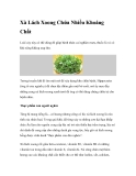 Xà Lách Xoong Chứa Nhiều Khoáng Chất