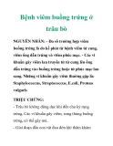 Bệnh viêm buồng trứng ở trâu bò