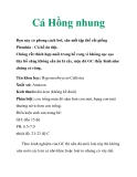Cá Hồng nhung