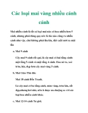 Các loại mai vàng nhiều cánh cánh