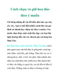 Cách chọn và giữ hoa đào theo ý muốn