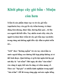 Khôi phục cây gió bầu - Muộn còn hơn