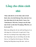 Lồng cho chim cảnh nhỏ