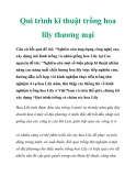 Qui trình kĩ thuật trồng hoa lily thương mại