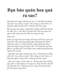Bạn bảo quản hoa quả ra sao?