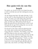 Bảo quản trái cây sau thu hoạch