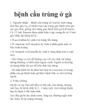 bệnh cầu trùng ở gà