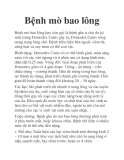Bệnh mò bao lông