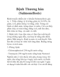 Bệnh Thương hàn (Salmonellosis)