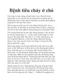 Bệnh tiêu chảy ở chó