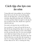 Cách tập cho lợn con ăn sớm
