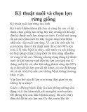Kỹ thuật nuôi và chọn lợn rừng giống