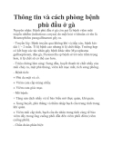 Thông tin và cách phòng bệnh phù đầu ở gà