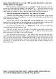Thức ăn Vật nuôi