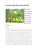 Kỹ thuật trồng thâm canh bưởi 