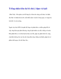 Trồng nhãn tiêu da bò chú ý đạm và kali(Dân Việt)