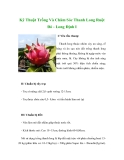 Kỹ Thuật Trồng Và Chăm Sóc Thanh Long Ruột Đỏ