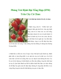 Phòng Trừ Bệnh Hại Tổng Hợp (IPM)