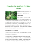 Phòng Trừ Sâu Bệnh Trên Cây Mãng Cầu Ta
