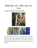 Bệnh khô vằn - đốm vằn trên Lúa