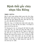 Bệnh thối gốc chảy nhựa Sầu Riêng
