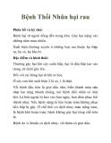 Bệnh Thối Nhũn hại rau