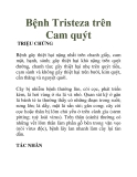 Bệnh Tristeza trên Cam quýt