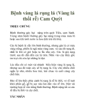 Bệnh vàng lá rụng lá (Vàng lá thối rễ) Cam Quýt