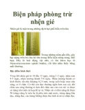 Biện pháp phòng trừ nhện gié