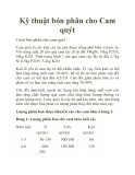 Kỹ thuật bón phân cho Cam quýt