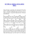 KỸ THUẬT TRỒNG MĂNG ĐIỀM TRÚC