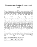 Kỹ thuật trồng và chăm sóc vườn cây có múi
