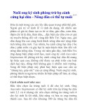 Nuôi ong ký sinh phòng trừ bọ cánh cứng hại dừa - Nông dân có thể tự nuôi